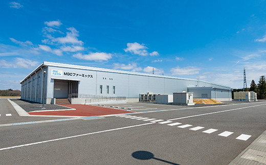 定期便 6ヶ月連続 植物工場で育てた5種のレタス食べくらべセット 10パック  野菜 セット 詰め合わせ 詰合せ 食品 F23R-786