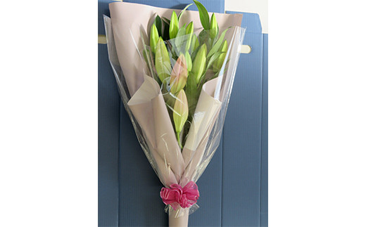 母の日ギフト用ユリミックス　5本花束（合計15～20輪）  植物 フラワー 花 F23R-788