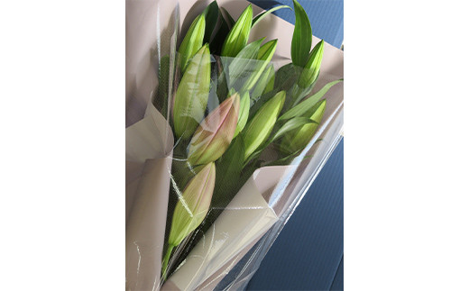 母の日ギフト用ユリミックス　5本花束（合計15～20輪）  植物 フラワー 花 F23R-788