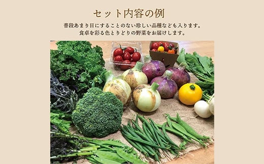 《有機JAS認証》 オーガニック 季節のお野菜が届く定期便（小） 年5回配送  野菜 セット 詰め合わせ 詰合せ 食品 F23R-940