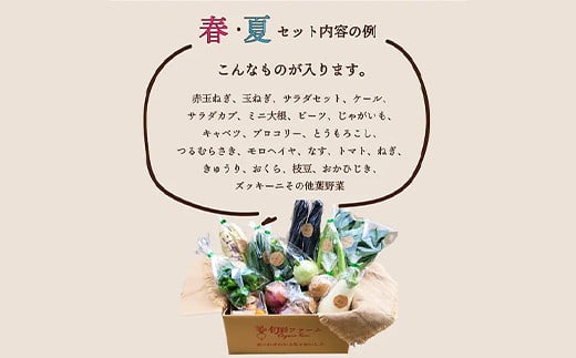《有機JAS認証》 オーガニック 季節のお野菜が届く定期便（小） 年5回配送  野菜 セット 詰め合わせ 詰合せ 食品 F23R-940