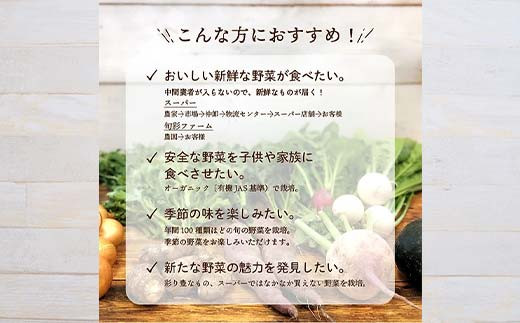 《有機JAS認証》 オーガニック 季節のお野菜が届く定期便（大） 年5回配送  野菜 セット 詰め合わせ 詰合せ 食品 F23R-833