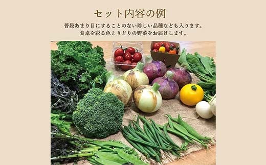 《有機JAS認証》 オーガニック 季節のお野菜が届く定期便（大） 年5回配送  野菜 セット 詰め合わせ 詰合せ 食品 F23R-833