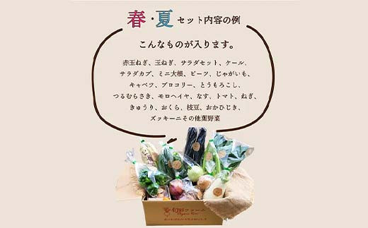 《有機JAS認証》 オーガニック 季節のお野菜が届く定期便（大） 年5回配送  野菜 セット 詰め合わせ 詰合せ 食品 F23R-833