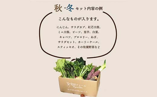 《有機JAS認証》 オーガニック 季節のお野菜が届く定期便（大） 年5回配送  野菜 セット 詰め合わせ 詰合せ 食品 F23R-833