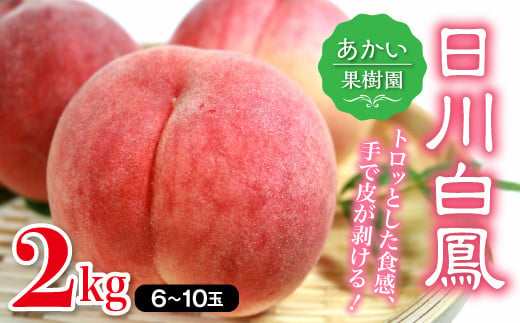 福島県産 日川白鳳 2kg 2025年7月上旬〜2025年7月中旬発送 2025年出荷分 先行予約 予約 伊達の桃 桃 もも モモ 果物 くだもの フルーツ 国産 食品 デザート 果実 F20C-447