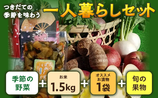 つきだての季節を味わう一人暮らしセット 野菜 セット 詰め合わせ 詰合せ 食品 F20C-519