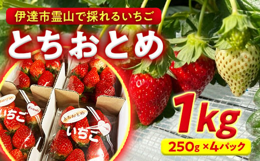 伊達市霊山で採れるいちご「とちおとめ」1kg (250g×4パック) イチゴ 苺 いちご デザート フルーツ 果物 くだもの 果実 食品 F20C-532