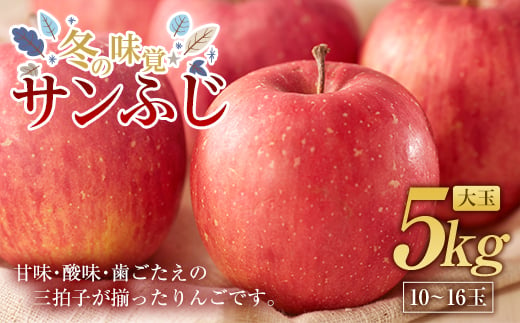 冬の味覚 りんご サンふじ 大玉 5kg(10〜16玉) 福島県 伊達市 林檎 リンゴ フルーツ 果物 産地直送 デザート くだもの 果実 食品 F20C-662