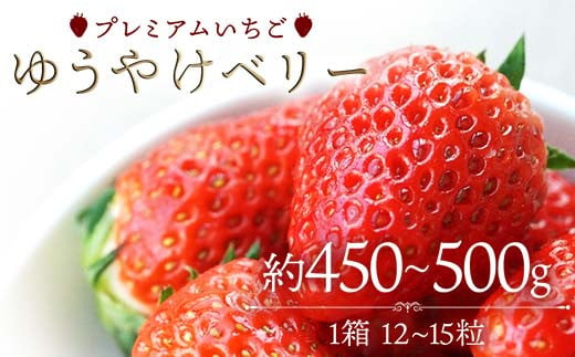 プレミアムいちご ゆうやけベリー 約450〜500g(12〜15粒) いちご イチゴ 苺 デザート フルーツ 果物 くだもの 果実 食品 F20C-981