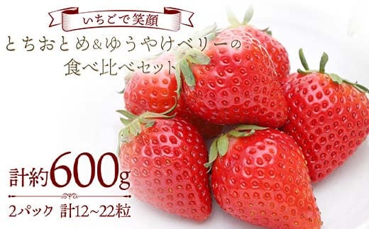 [いちごで笑顔]とちおとめ&ゆうやけベリーの食べ比べセット 約300g×2パック プレミアムいちご 苺 食べ比べ いちご イチゴ デザート フルーツ 果物 くだもの 果実 食品 F20C-984