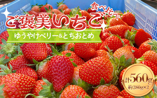 [ご褒美いちご]「ゆうやけベリー」「とちおとめ」の食べ比べセット 約280g×2パック いちご イチゴ 苺 デザート フルーツ 果物 くだもの 果実 食品 F20C-987