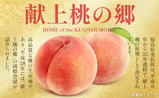 もも【幸茜・2026年産】特秀1.2kg　桑折町産　JAふくしま未来　桃　【07301-0228】