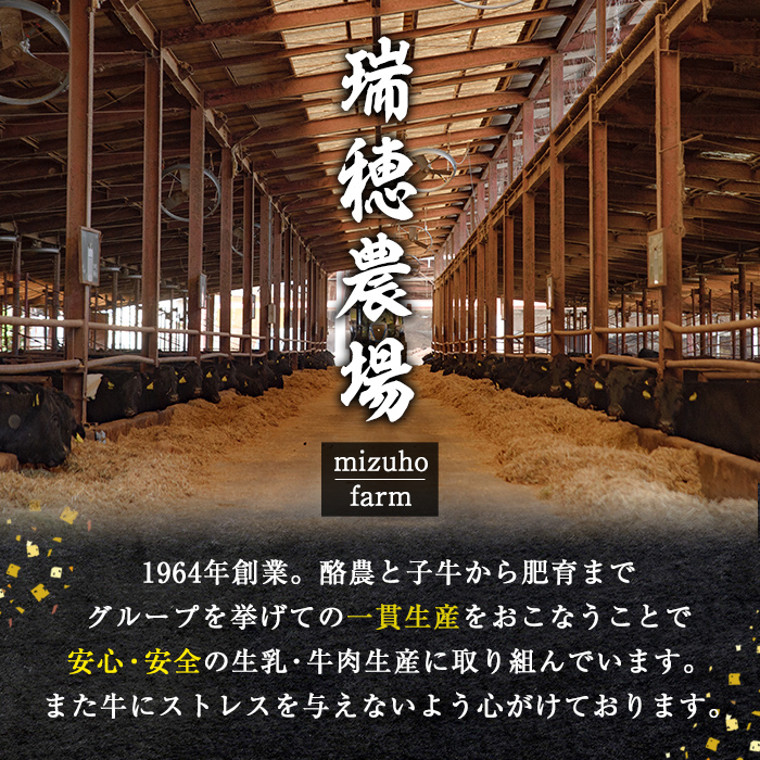 ＜2026年2月中に発送＞ 瑞穂牛焼肉セット 1.0Kg 牛肉 やきにく バラ 肩ロース 肩 肩バラ トモサンカク イチボ ブランド牛 冷凍配送 茨城県 お中元 焼肉の日 敬老の日 常陸牛 焼肉 盛り合わせ 食べ比べ 国産 肉 BBQ セット 【（株）フロンティアロード】【 ho0903-1-02】
