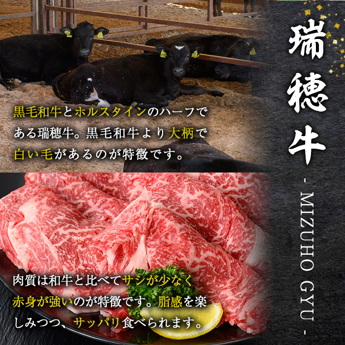 ＜2026年1月中に発送＞ 瑞穂牛すき焼きセット 約1kg 1000g ブランド牛 赤身 和牛 国産 肉 牛肉 瑞穂牛 肩ロース 霜降り すき焼き しゃぶしゃぶ 牛しゃぶ スライス お肉 国産牛 焼肉 焼き肉 牛モモ 牛肩 すきやき 牛すき 冷凍 【（株）フロンティアロード】【ho0902-1-01】