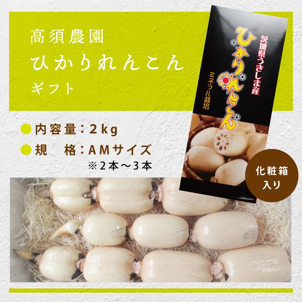 ひかりれんこんギフト2kg (AMサイズ) 化粧箱入｜れんこん レンコン 蓮根 根野菜 浮島れんこん [1742]