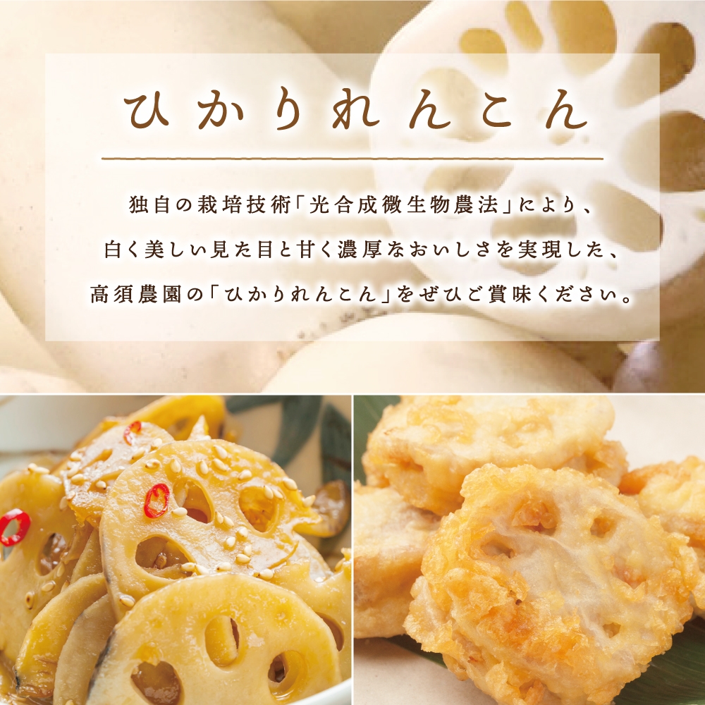 ひかりれんこん2kg (ASサイズ) 専用箱入｜れんこん レンコン 蓮根 根野菜 浮島れんこん [1743]