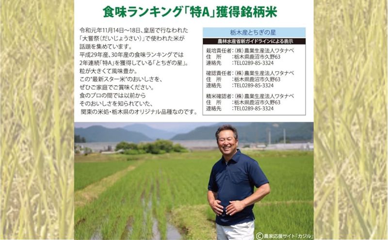 【数量限定】栃木県鹿沼市産 とちぎの星 無洗米 5kg 令和7年産 | 水稲うるち精米 単一原料米 お米 特A 大粒 甘さ ※沖縄・離島への配送不可