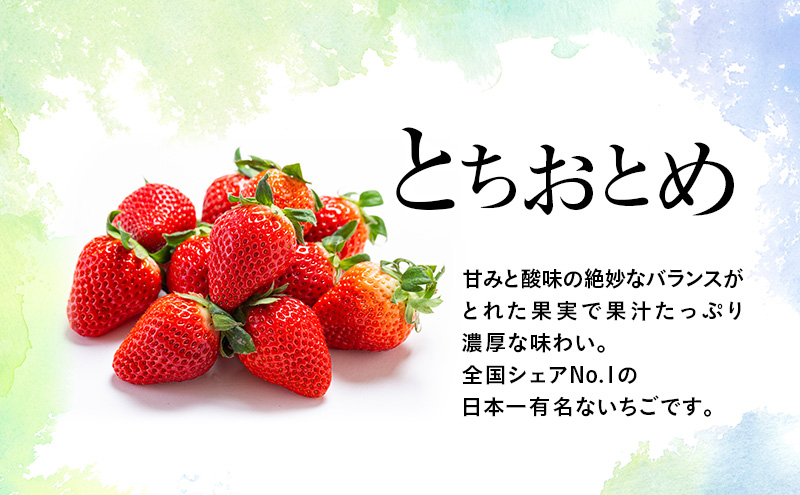 つる付き とちおとめ 2パック箱（3月～5月発送） いちご 果物