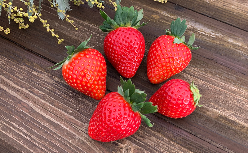 ロールケーキ 濃いちごロールケーキ 2個入り | イチゴ スイーツ デザート とちおとめ 苺 いちご おやつ 菓子 お菓子 洋菓子 ケーキ 濃厚 贅沢 ふわふわ いちごクリーム 鹿沼市 栃木県 米粉スイーツ グルテンフリー