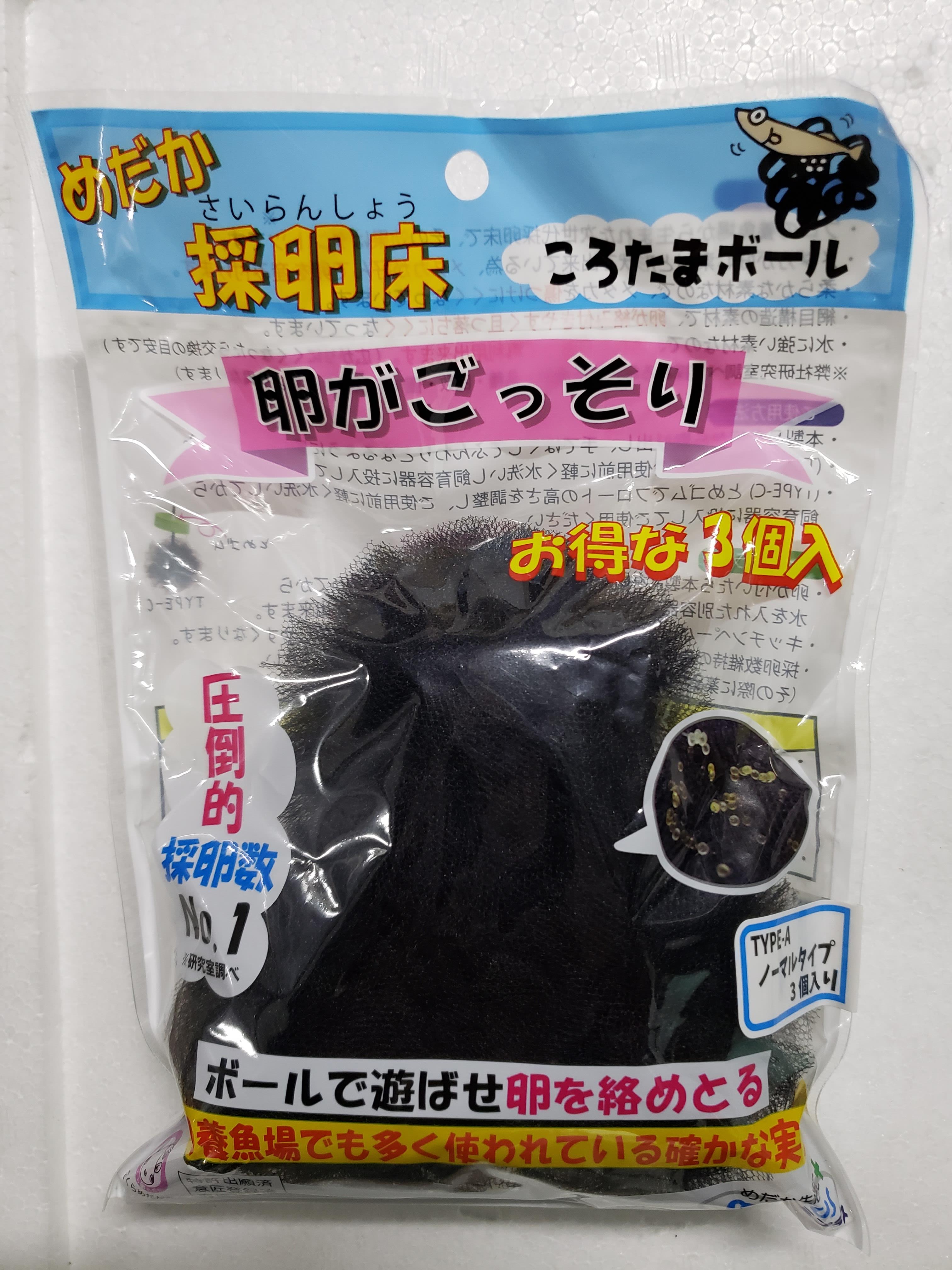 メダカ「オロチ」4匹セット[52210996]