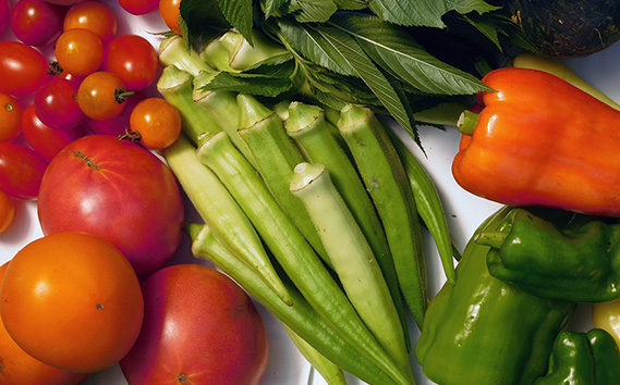 ガバレ農場の季節の有機野菜詰め合わせセット