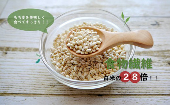 国産もち麦12kg《1kg×12個セット》雑穀 お米に混ぜて炊くだけ！小分けパック ダイエット 食物繊維 埼玉県産大麦 送料無料