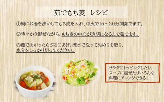 国産もち麦12kg《1kg×12個セット》雑穀 お米に混ぜて炊くだけ！小分けパック ダイエット 食物繊維 埼玉県産大麦 送料無料