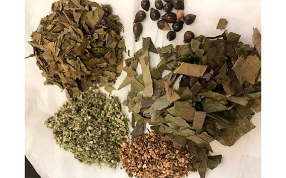 和ハーブよもぎ蒸しパック20パック入り【あでやか天女パック】＊よもじお＊