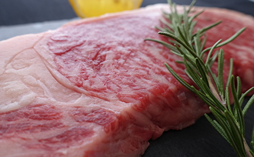 牛肉の全部位制覇！松川牧場のこだわり牛肉部位別 12ヶ月定期便 〈限定10組/種類おまかせ〉