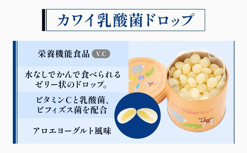 カワイ 乳酸菌 ドロップ 180粒 栄養機能食品 アロエヨーグルト風味 ビフィズス菌 ビタミンC 水なし ゼリー 河合薬業株式会社 埼玉県 嵐山町 飴 アメ 子ども 高齢者 教育機関 定番製品