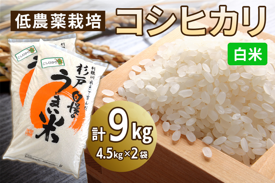 低農薬栽培のコシヒカリ《白米》9kg (4.5kg×2袋)｜おいしい お米 コメ こめ ご飯 ごはん お取り寄せ 直送 贈り物 贈答品 ふるさと納税 埼玉 杉戸 [0646]