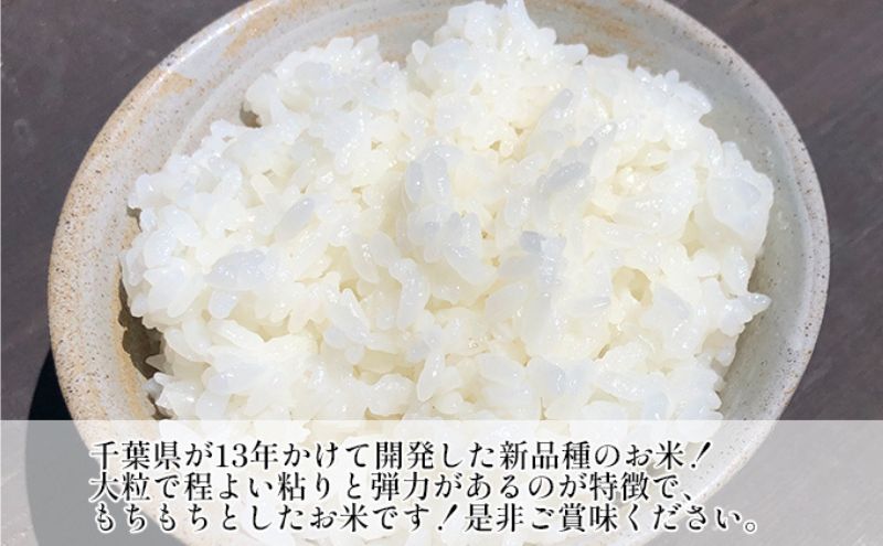 新米　令和7年 ふさおとめ　白米　5kg 【 お米 精米 大粒 粘り気 ファン 】 千葉県
