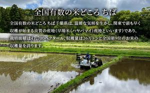 2ヶ月定期便　令和7年  ミルキークィーン　白米　5kg お米 銘柄米 ご飯 おにぎり お弁当 和食 食卓 精米 国産 千葉県産 産地直送