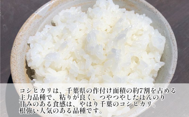 【定期2ヶ月】新米　コシヒカリ　白米　5kg　令和7年産 お米 銘柄米 ご飯 おにぎり お弁当 和食 食卓 精米 国産 千葉県産 産地直送