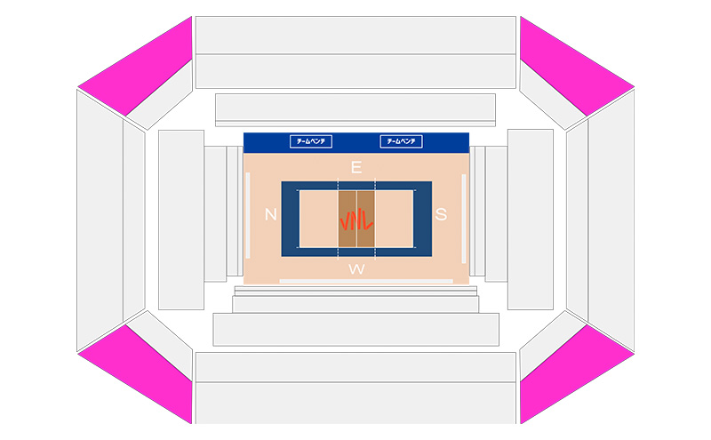 「買取大吉 バレーボールネーションズリーグ 2025 千葉大会」日本戦 女子チケット：スタンドBコーナー【7/9(水)19:20~【女子】日本×フランス】