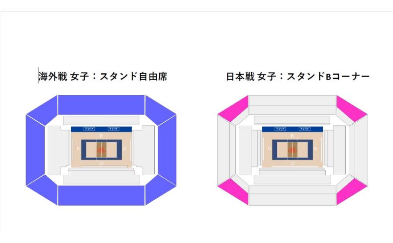 「買取大吉 バレーボールネーションズリーグ 2025 千葉大会」海外戦 女子：スタンド自由席+日本戦 女子：スタンドBコーナー＋特別体験プログラム(プラスプラン)　【7/10(木)15:30～【女子】フランス×ブラジル　19:20~【女子】日本×韓国＋特別体験プログラム】