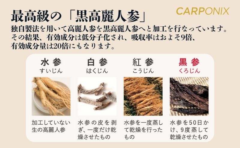黒高麗人参「CARPONIX」4粒入り×15袋 サプリメント サプリ 黒高麗人参 カプセル ジンセノサイド 千葉市