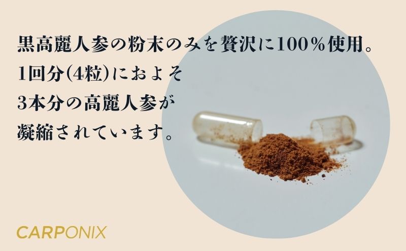 黒高麗人参「CARPONIX」60粒入り×1袋 サプリメント サプリ 黒高麗人参 カプセル ジンセノサイド 千葉市