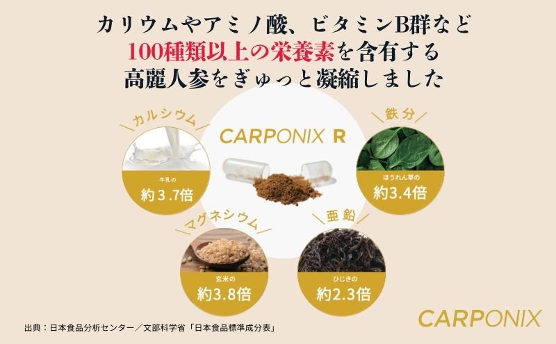 黒高麗人参「CARPONIX」　＜ご自宅用エコパック＞ 60粒入り×2袋　＜個包装＞ 4粒入り×30袋 【定期便 3ヶ月】 サプリメント サプリ 黒高麗人参 カプセル ジンセノサイド 千葉市