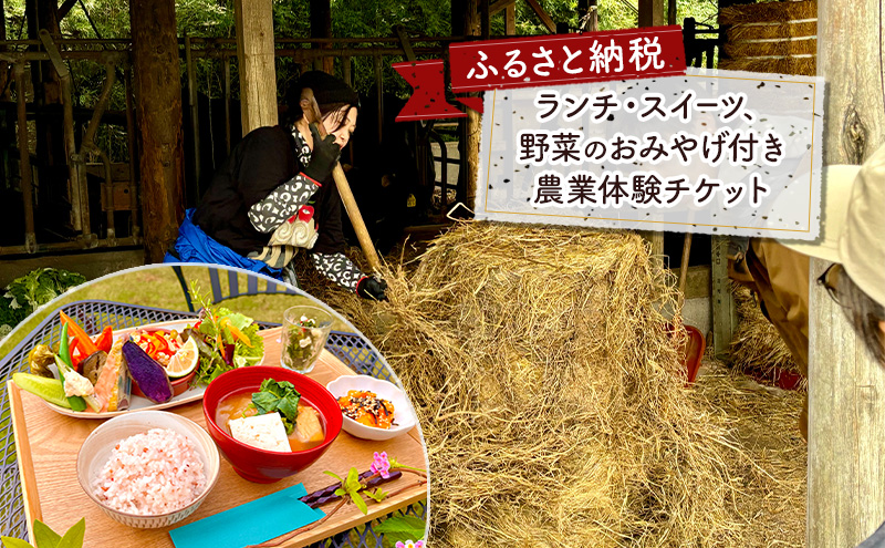 タンジョウ農場 農場体験 1名様分 体験 農業体験 チケット ランチ スイーツ 野菜のおみやげ付 千葉市 千葉県