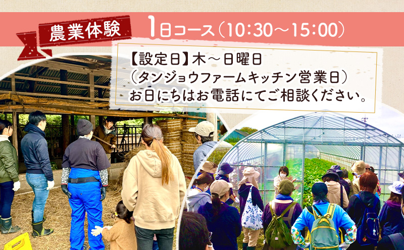 タンジョウ農場 農場体験 1名様分 体験 農業体験 チケット ランチ スイーツ 野菜のおみやげ付 千葉市 千葉県