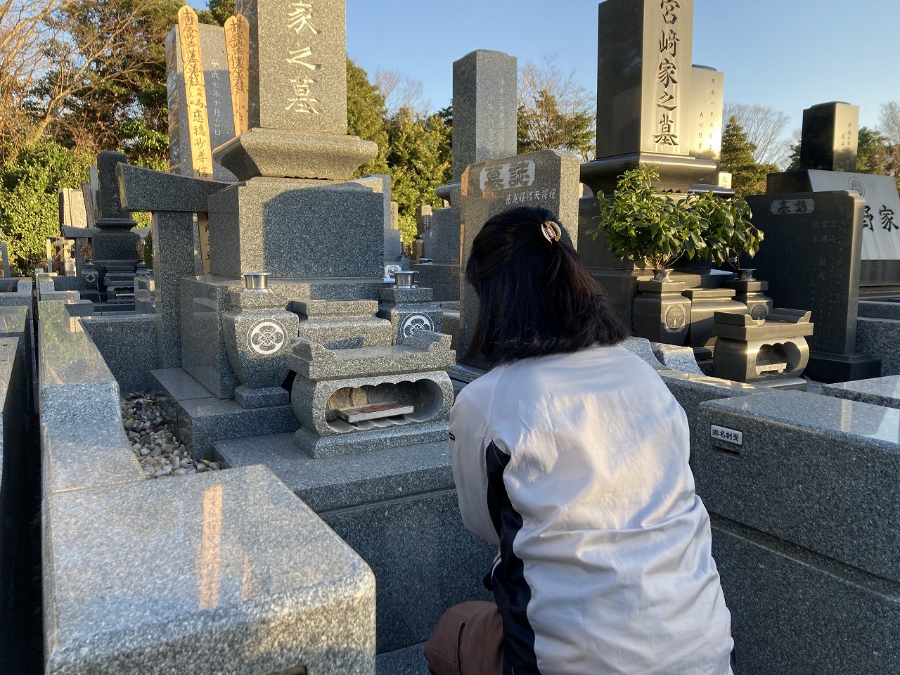 【千葉市平和公園】墓所管理代行サービス（年1回コース）普通墓地 お墓 管理 確認 代行 サービス 写真付 墓石清掃 献花 お花 お線香 お供え 雑草除去 草むしり 千葉 千葉市
