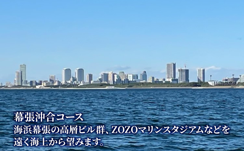 昼の観光船　ファミリーチケット　（4枚）