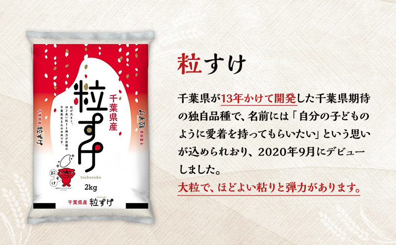 2025年5月発送】 お米 千葉県産 2kg 3点セットA (コシヒカリ・多