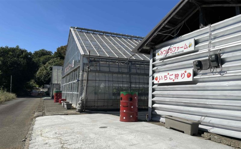 2月7日（土）旬のいちごが食べ放題！摘みたていちごで楽しむかんたん手作りスイーツ体験 1名様分 いちご狩り いちご スイーツ 体験 千葉あそび 千葉市