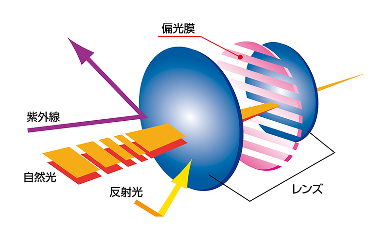 跳ね上げ式/「偏光」前掛けサングラス　柔らかい印象を与えるボストンタイプ　「BV-31」　レンズカラー：(6)偏光ライトブラウン
