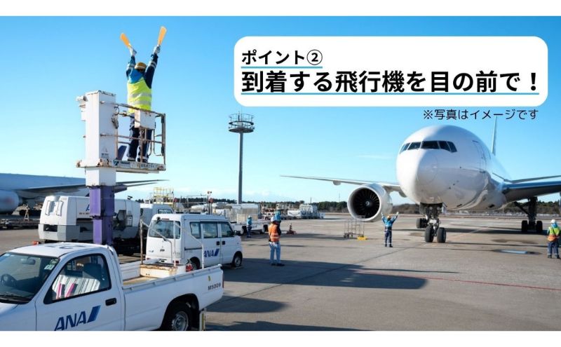 【7月21日(日)開催！】ANA限定　成田国際空港グラハンツアー（2名様プラン）グランドハンドリング グラハン ANA限定返礼品 体験チケット 飛行機 ANA 成田国際空港 成田 空港 エアポート 業務体験