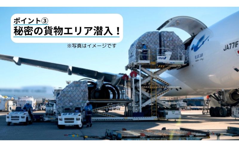 【7月21日(日)開催！】ANA限定　成田国際空港グラハンツアー（3名様プラン）グランドハンドリング グラハン ANA限定返礼品 体験チケット 飛行機 ANA 成田国際空港 成田 空港 エアポート 業務体験