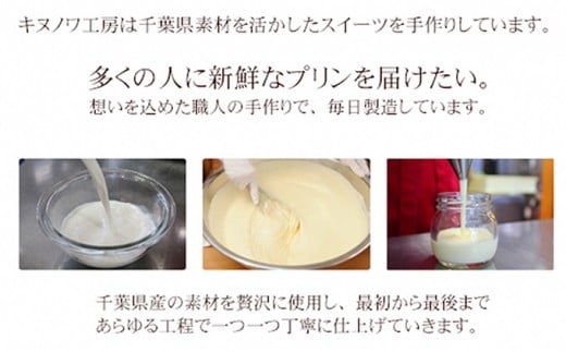 キヌノワプリン　プレーン54個セット